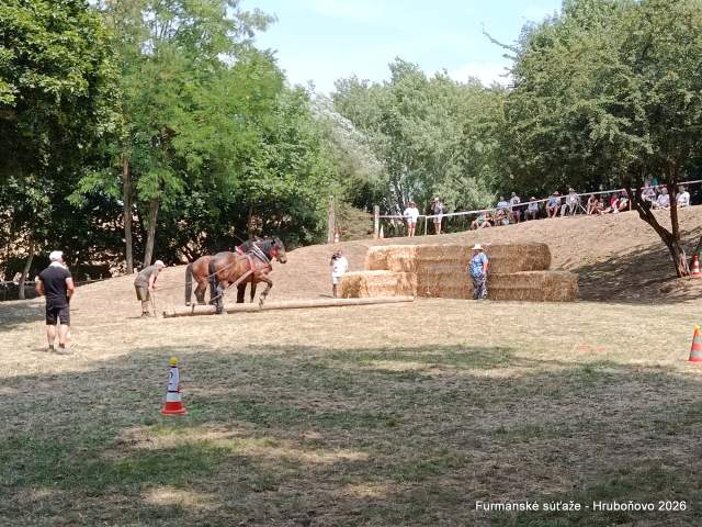 IMG_20260801_132356